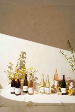 2025 Summer 8-Bottle Mixed Release