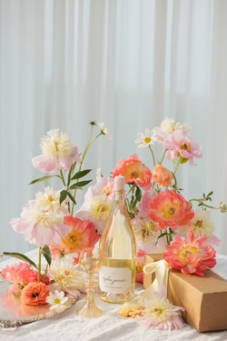 2024 Sophie James Sauvignon Blanc Magnum
