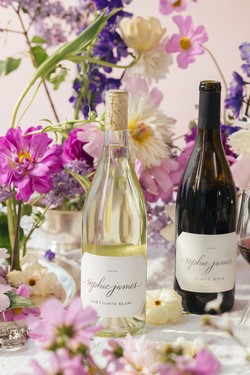 2-Bottle Sauvignon Blanc & Pinot Noir Gift Set