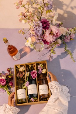 4-Bottle Rosé & White Tasting Set