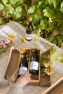 2-Bottle Pinot Noir & Chardonnay Gift Set