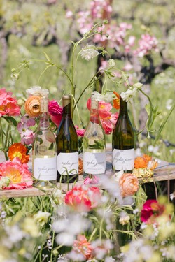 2025 Summer 4-Bottle White Wine Release