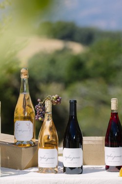 2025 Fall 4-Bottle Mixed-No Chardonnay Release