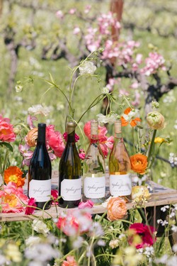 2025 Summer 4-Bottle Mixed Release