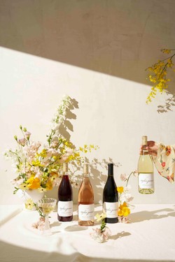 2025 Summer 4-Bottle Mixed-No Chardonnay Release
