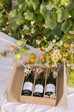 3-Bottle 2023 Chardonnay Gift Set