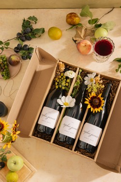 3-Bottle 2021 Pinot Noir Library Gift Set