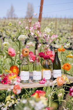 2025 Summer 4-Bottle Rosé & White Release