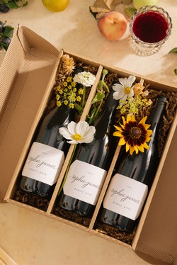 3-Bottle Pinot Noir Gift Set